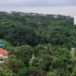 HDB cuts 1,200 planned homes, retains more greenery at Maju Forest and Gillman Barracks after public feedback