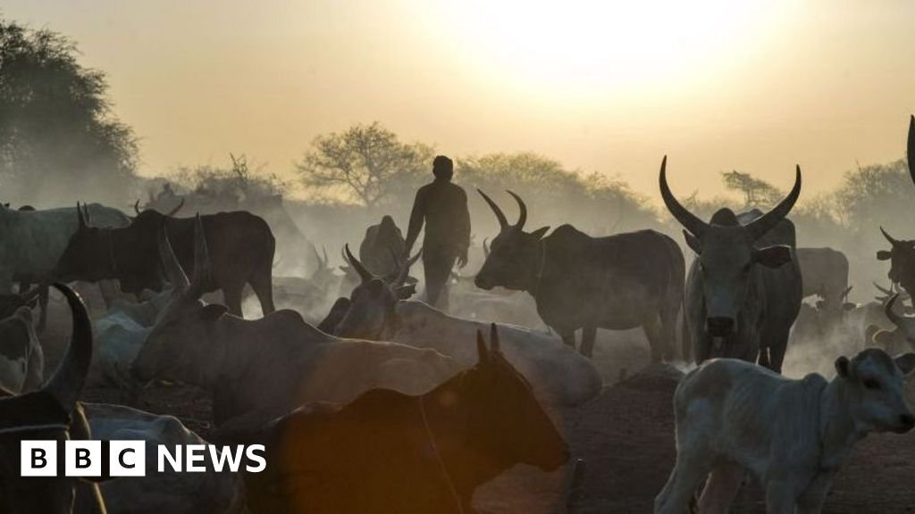 South Sudan cattle raids: Co-oridanted attacks kill at least 72 people in Warrup state