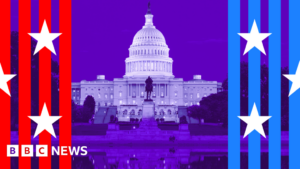 A simple guide to the US midterms