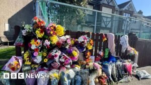 Three released without charge after fatal Waterford arson attack
