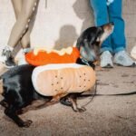 The dachshund, a humorous icon with political symbolism