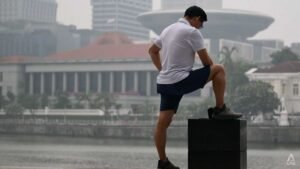 Singapore to set up specialist panel to investigate firms potentially linked to transboundary haze