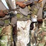 Tigray conflict: Eritrean troops move deep into Ethiopia as fighting escalates