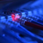 Germany news: Hackers release AfD party emails