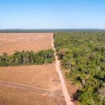 Brazil’s election results could shape the Amazon rainforest and climate around the world