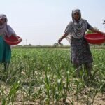 After driest monsoon in 11 years, India is looking at water and power shortages