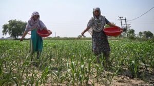 After driest monsoon in 11 years, India is looking at water and power shortages