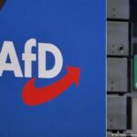 Massive data breach targets Germany’s AfD