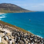 How a multibillion-dollar oilfield has ignited UK-Argentina feud over the Falkland Islands