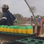 High El Nino heat puts farmers in South Africa on high alert