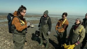 Going on an oyster safari in Denmark