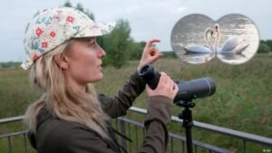 For Gen Z, bird-watching is booming