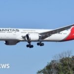Qantas flight grounded after bedbug outbreak