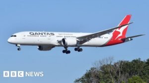 Qantas flight grounded after bedbug outbreak