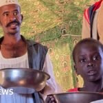 Sudan war: West warns of famine risk