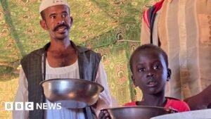 Sudan war: West warns of famine risk