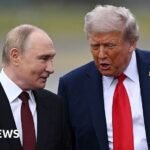 Trump’s shock Russia deal highlights mounting pressure to curb fuel prices