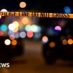 US teenager appears in court over alleged Hindu temple shooting plot