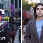 Watch: New York bans horse-drawn carriages after more than 160 years