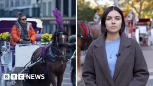 Watch: New York bans horse-drawn carriages after more than 160 years