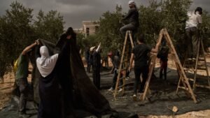 Israeli settlers attack European diplomats, beat French mayor