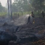 ‘Not as easy as one might imagine’: Poor visibility, wild animals hamper firefighting in Indonesia
