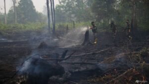 ‘Not as easy as one might imagine’: Poor visibility, wild animals hamper firefighting in Indonesia