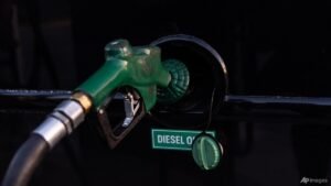 Trump rules out diesel export ban after European release