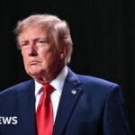 Trump announces deal with Putin to release Russian diesel