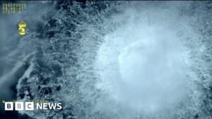Nord Stream trial: How German police followed the evidence – to Ukraine
