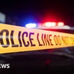 Georgia officials hunt for suspect in shooting that killed two and injured 35