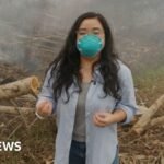 BBC visits Indonesia’s wildfire ground blanketed by toxic haze