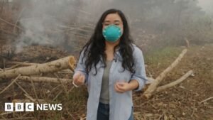 BBC visits Indonesia’s wildfire ground blanketed by toxic haze