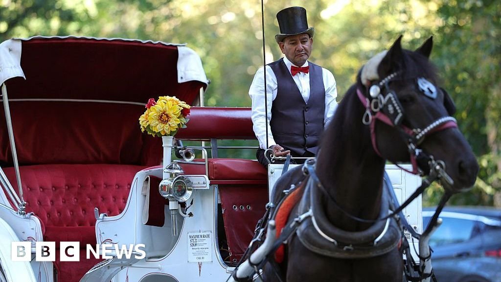 Some New Yorkers hail ban on horse-drawn carriages, but drivers fear for incomes