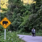 As Thailand courts data centres, a new reservoir raises questions over water and wildlife