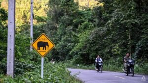 As Thailand courts data centres, a new reservoir raises questions over water and wildlife