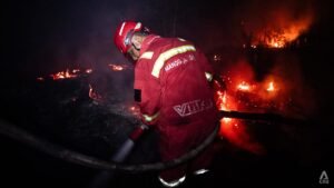 Indonesia to assess foreign firefighting aid offers, hopes to extinguish blazes within a month