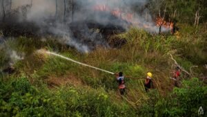 Prabowo approves foreign help to tackle fires causing regional haze, says Indonesian foreign minister