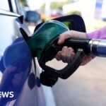 Trump faces growing backlash over plans to import diesel from Russia