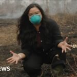 Why is a peat fire so bad? BBC is in Indonesia to find out