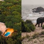 Just four hours from Singapore, Sri Lanka offers two very different safari experiences