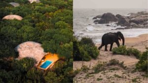 Just four hours from Singapore, Sri Lanka offers two very different safari experiences
