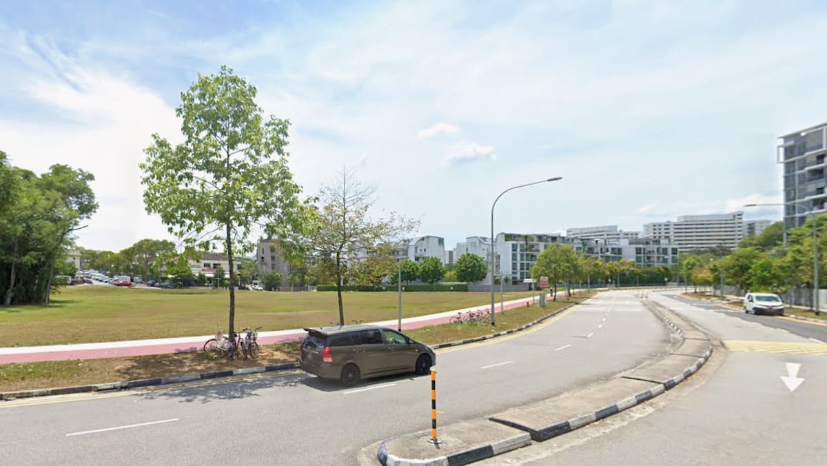First EC tender under new rules draws record-high bid from developers
