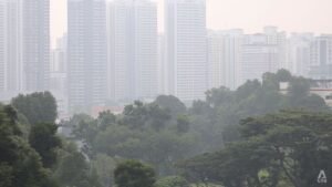 NEA issues notices to 10 Singapore-based firms for first time under haze law
